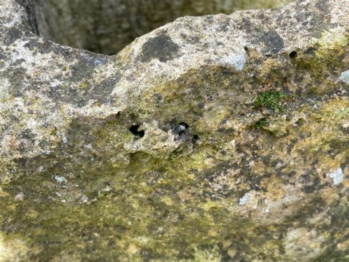 GEORGIAN CARVED STONE GARDEN TROUGH PLANTER - ADDITIONAL PHOTO 14