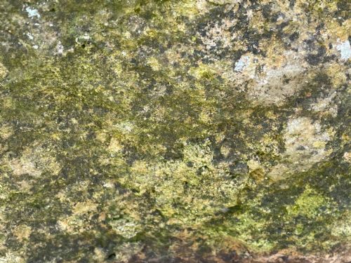 GEORGIAN CARVED STONE GARDEN TROUGH PLANTER - ADDITIONAL PHOTO 15