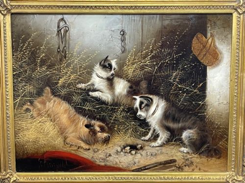 VICTORIAN OIL PAINTING 3 TERRIER DOGS A SHARP LOOKOUT BY EDWARD ARMFIELD - ADDITIONAL PHOTO 2