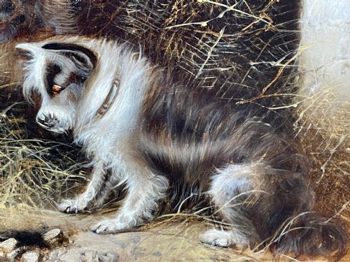 VICTORIAN OIL PAINTING 3 TERRIER DOGS A SHARP LOOKOUT BY EDWARD ARMFIELD - ADDITIONAL PHOTO 11