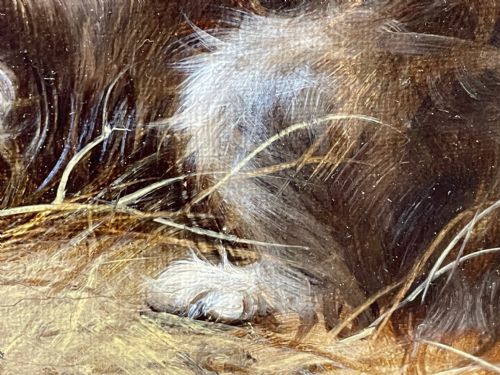 VICTORIAN OIL PAINTING 3 TERRIER DOGS A SHARP LOOKOUT BY EDWARD ARMFIELD - ADDITIONAL PHOTO 21