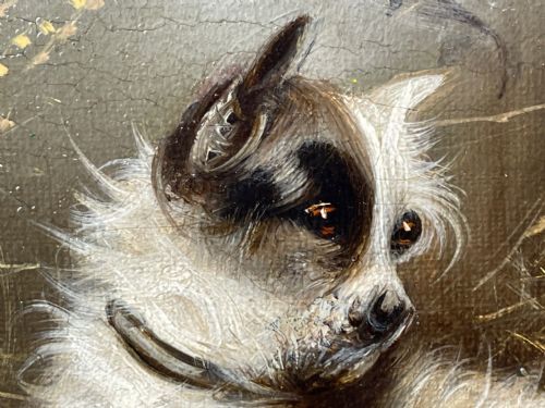 VICTORIAN OIL PAINTING 3 TERRIER DOGS A SHARP LOOKOUT BY EDWARD ARMFIELD - ADDITIONAL PHOTO 23