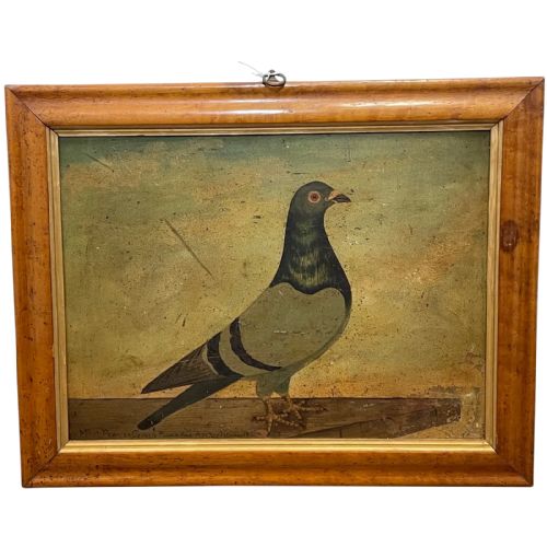 sporting oil canvas painting portrait racing grey pigeon circa 1912 - CATEGORY: ANTIQUE ART - DATED 1910