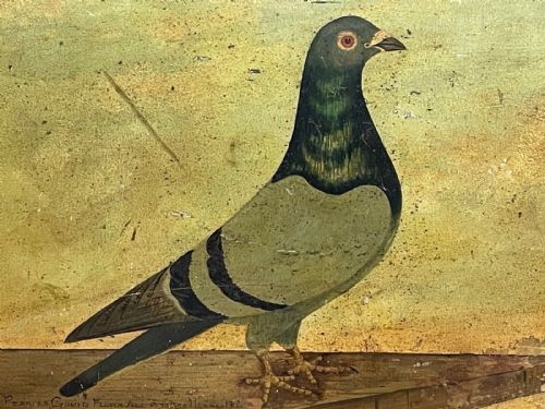 SPORTING OIL CANVAS PAINTING PORTRAIT RACING GREY PIGEON CIRCA 1912 - ADDITIONAL PHOTO 2