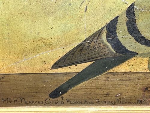 SPORTING OIL CANVAS PAINTING PORTRAIT RACING GREY PIGEON CIRCA 1912 - ADDITIONAL PHOTO 9