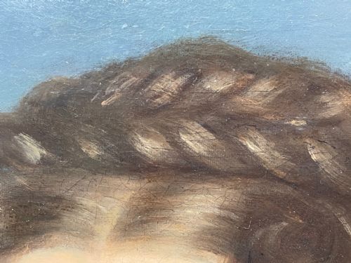 19TH CENTURY OIL PAINTING PORTRAIT YOUNG LADY FOLLOWER OF SOPHIE FRMIET - ADDITIONAL PHOTO 13
