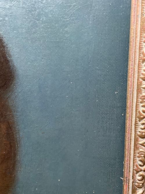 19TH CENTURY OIL PAINTING PORTRAIT YOUNG LADY FOLLOWER OF SOPHIE FRMIET - ADDITIONAL PHOTO 25