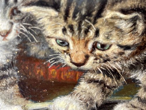 19TH CENTURY OIL PAINTING KITTENS REFLECTION BY HORATIO HENRY COULDERY - ADDITIONAL PHOTO 23