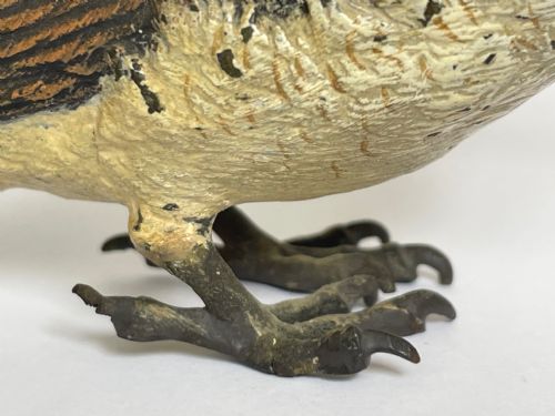 ANTIQUE AUSTRIAN COLD PAINTED BRONZE KOOKABURRA BIRD - ADDITIONAL PHOTO 3