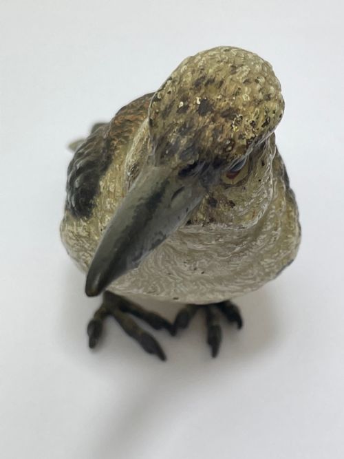 ANTIQUE AUSTRIAN COLD PAINTED BRONZE KOOKABURRA BIRD - ADDITIONAL PHOTO 13