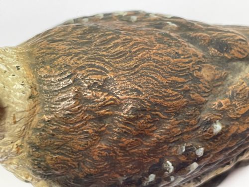 ANTIQUE AUSTRIAN COLD PAINTED BRONZE KOOKABURRA BIRD - ADDITIONAL PHOTO 21