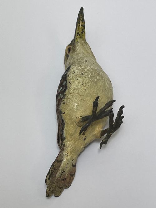 ANTIQUE AUSTRIAN COLD PAINTED BRONZE KOOKABURRA BIRD - ADDITIONAL PHOTO 29
