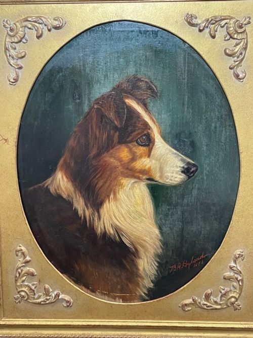 19TH CENTURY VICTORIAN OIL PAINTING SCOTTISH ROUGH COLLIE DOG PORTRAIT - ADDITIONAL PHOTO 3