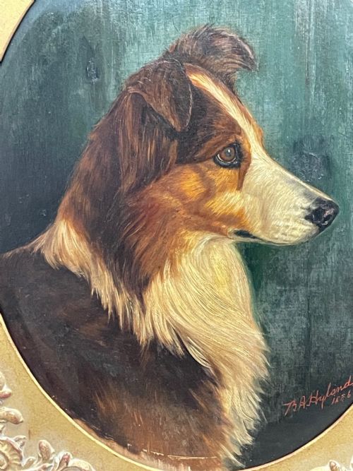 19TH CENTURY VICTORIAN OIL PAINTING SCOTTISH ROUGH COLLIE DOG PORTRAIT - ADDITIONAL PHOTO 4