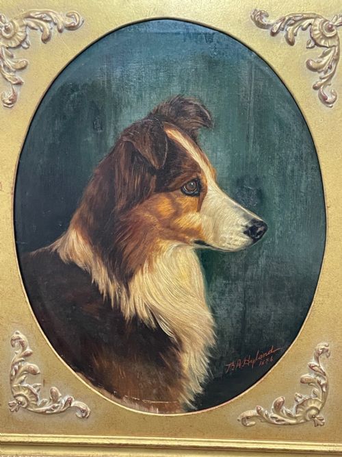 19TH CENTURY VICTORIAN OIL PAINTING SCOTTISH ROUGH COLLIE DOG PORTRAIT - ADDITIONAL PHOTO 6