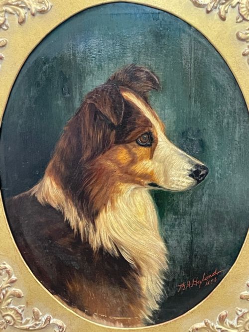 19TH CENTURY VICTORIAN OIL PAINTING SCOTTISH ROUGH COLLIE DOG PORTRAIT - ADDITIONAL PHOTO 7