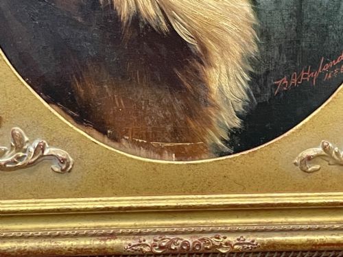 19TH CENTURY VICTORIAN OIL PAINTING SCOTTISH ROUGH COLLIE DOG PORTRAIT - ADDITIONAL PHOTO 9