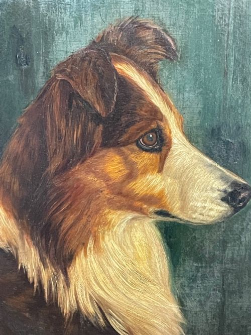 19TH CENTURY VICTORIAN OIL PAINTING SCOTTISH ROUGH COLLIE DOG PORTRAIT - ADDITIONAL PHOTO 10