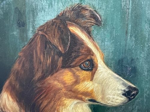 19TH CENTURY VICTORIAN OIL PAINTING SCOTTISH ROUGH COLLIE DOG PORTRAIT - ADDITIONAL PHOTO 15