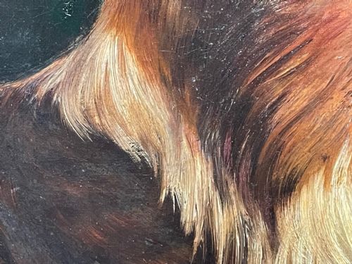 19TH CENTURY VICTORIAN OIL PAINTING SCOTTISH ROUGH COLLIE DOG PORTRAIT - ADDITIONAL PHOTO 20