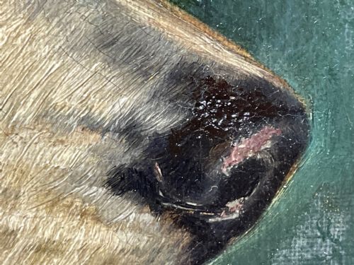 19TH CENTURY VICTORIAN OIL PAINTING SCOTTISH ROUGH COLLIE DOG PORTRAIT - ADDITIONAL PHOTO 26