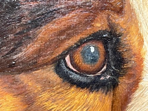 19TH CENTURY VICTORIAN OIL PAINTING SCOTTISH ROUGH COLLIE DOG PORTRAIT - ADDITIONAL PHOTO 27