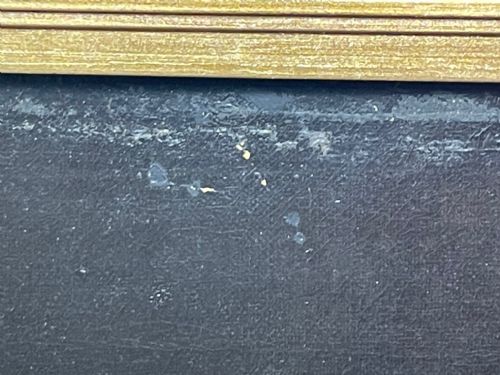 EARLY VICTORIAN OIL PAINTING PORTRAIT OF A LADY - ADDITIONAL PHOTO 16