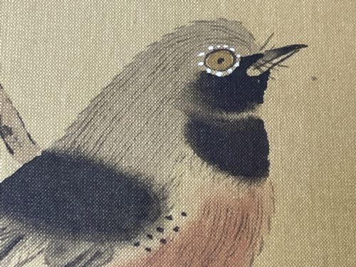 CHINESE PAINTING 2 WILD BIRDS PLUM BLOSSOM EYES STAMPED SIGNED - ADDITIONAL PHOTO 18