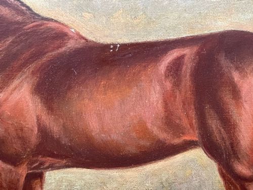 OIL PAINTING RACE HORSE 'SPION KOP' WINNER BY FREDERICK ALBERT CLARKE - ADDITIONAL PHOTO 17