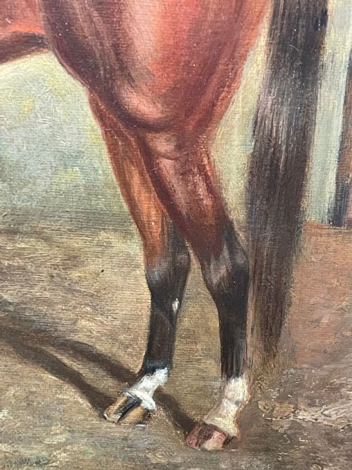OIL PAINTING RACE HORSE 'SPION KOP' WINNER BY FREDERICK ALBERT CLARKE - ADDITIONAL PHOTO 20