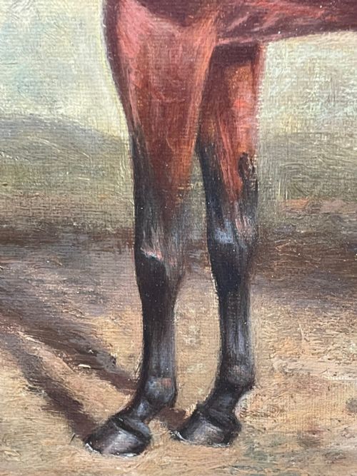 OIL PAINTING RACE HORSE 'SPION KOP' WINNER BY FREDERICK ALBERT CLARKE - ADDITIONAL PHOTO 22