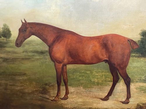 19TH CENTURY OIL PAINTING BAY HUNTER HORSE PARTISAN BY JAMES BARENGER - ADDITIONAL PHOTO 7