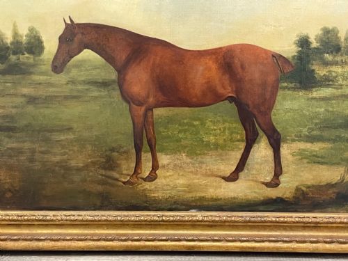 19TH CENTURY OIL PAINTING BAY HUNTER HORSE PARTISAN BY JAMES BARENGER - ADDITIONAL PHOTO 8
