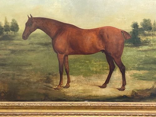 19TH CENTURY OIL PAINTING BAY HUNTER HORSE PARTISAN BY JAMES BARENGER - ADDITIONAL PHOTO 10