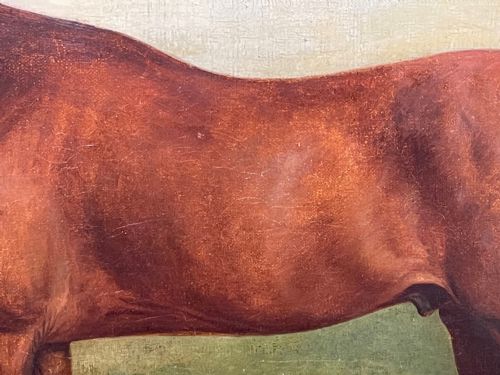 19TH CENTURY OIL PAINTING BAY HUNTER HORSE PARTISAN BY JAMES BARENGER - ADDITIONAL PHOTO 13