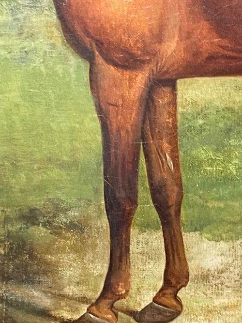 19TH CENTURY OIL PAINTING BAY HUNTER HORSE PARTISAN BY JAMES BARENGER - ADDITIONAL PHOTO 14