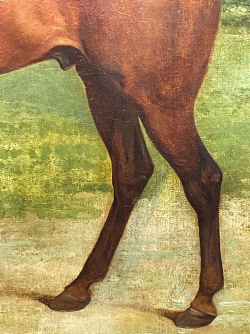 19TH CENTURY OIL PAINTING BAY HUNTER HORSE PARTISAN BY JAMES BARENGER - ADDITIONAL PHOTO 15
