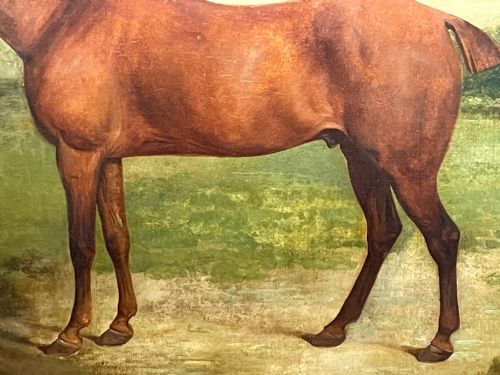 19TH CENTURY OIL PAINTING BAY HUNTER HORSE PARTISAN BY JAMES BARENGER - ADDITIONAL PHOTO 16