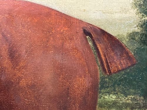 19TH CENTURY OIL PAINTING BAY HUNTER HORSE PARTISAN BY JAMES BARENGER - ADDITIONAL PHOTO 17