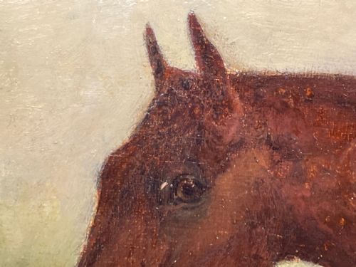 19TH CENTURY OIL PAINTING BAY HUNTER HORSE PARTISAN BY JAMES BARENGER - ADDITIONAL PHOTO 19