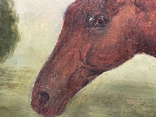 19TH CENTURY OIL PAINTING BAY HUNTER HORSE PARTISAN BY JAMES BARENGER - ADDITIONAL PHOTO 20