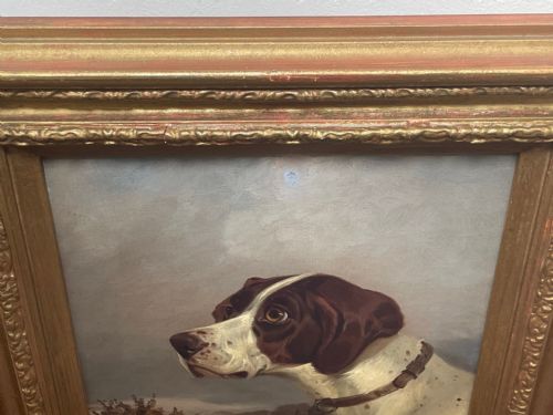 VICTORIAN HUNTING POINTER DOG OIL PAINTING BY COLIN GRAEME ROE - ADDITIONAL PHOTO 9