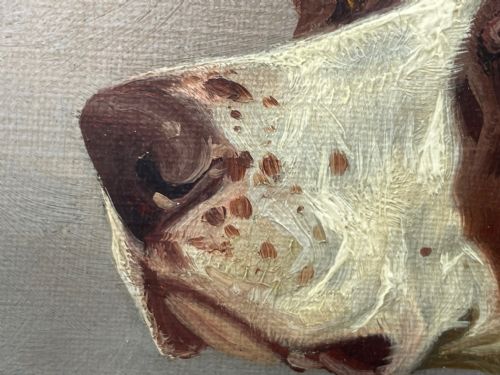 VICTORIAN HUNTING POINTER DOG OIL PAINTING BY COLIN GRAEME ROE - ADDITIONAL PHOTO 22