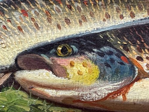 SCOTTISH OIL PAINTING BURN TROUT FISH CAUGHT BY JAMES RUSSELL - ADDITIONAL PHOTO 14