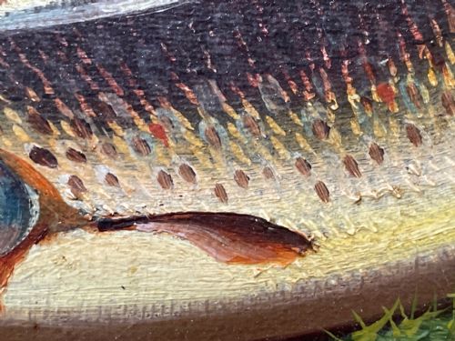 SCOTTISH OIL PAINTING BURN TROUT FISH CAUGHT BY JAMES RUSSELL - ADDITIONAL PHOTO 29