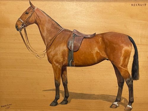 OIL PAINTING EQUINE RECRUIT BAY HUNTER HORSE BY FRANCES MABEL HOLLAMS - ADDITIONAL PHOTO 1