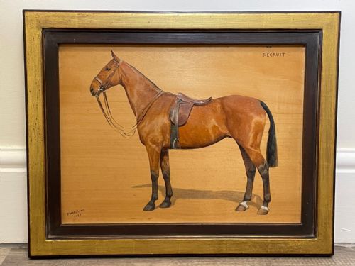 OIL PAINTING EQUINE RECRUIT BAY HUNTER HORSE BY FRANCES MABEL HOLLAMS - ADDITIONAL PHOTO 3
