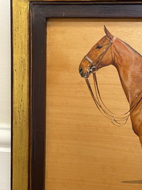 OIL PAINTING EQUINE RECRUIT BAY HUNTER HORSE BY FRANCES MABEL HOLLAMS - ADDITIONAL PHOTO 4