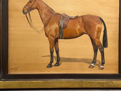 OIL PAINTING EQUINE RECRUIT BAY HUNTER HORSE BY FRANCES MABEL HOLLAMS - ADDITIONAL PHOTO 7