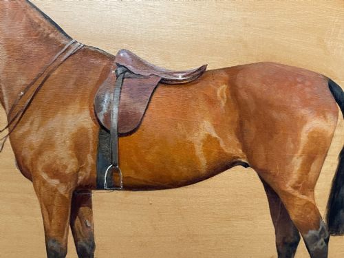 OIL PAINTING EQUINE RECRUIT BAY HUNTER HORSE BY FRANCES MABEL HOLLAMS - ADDITIONAL PHOTO 17